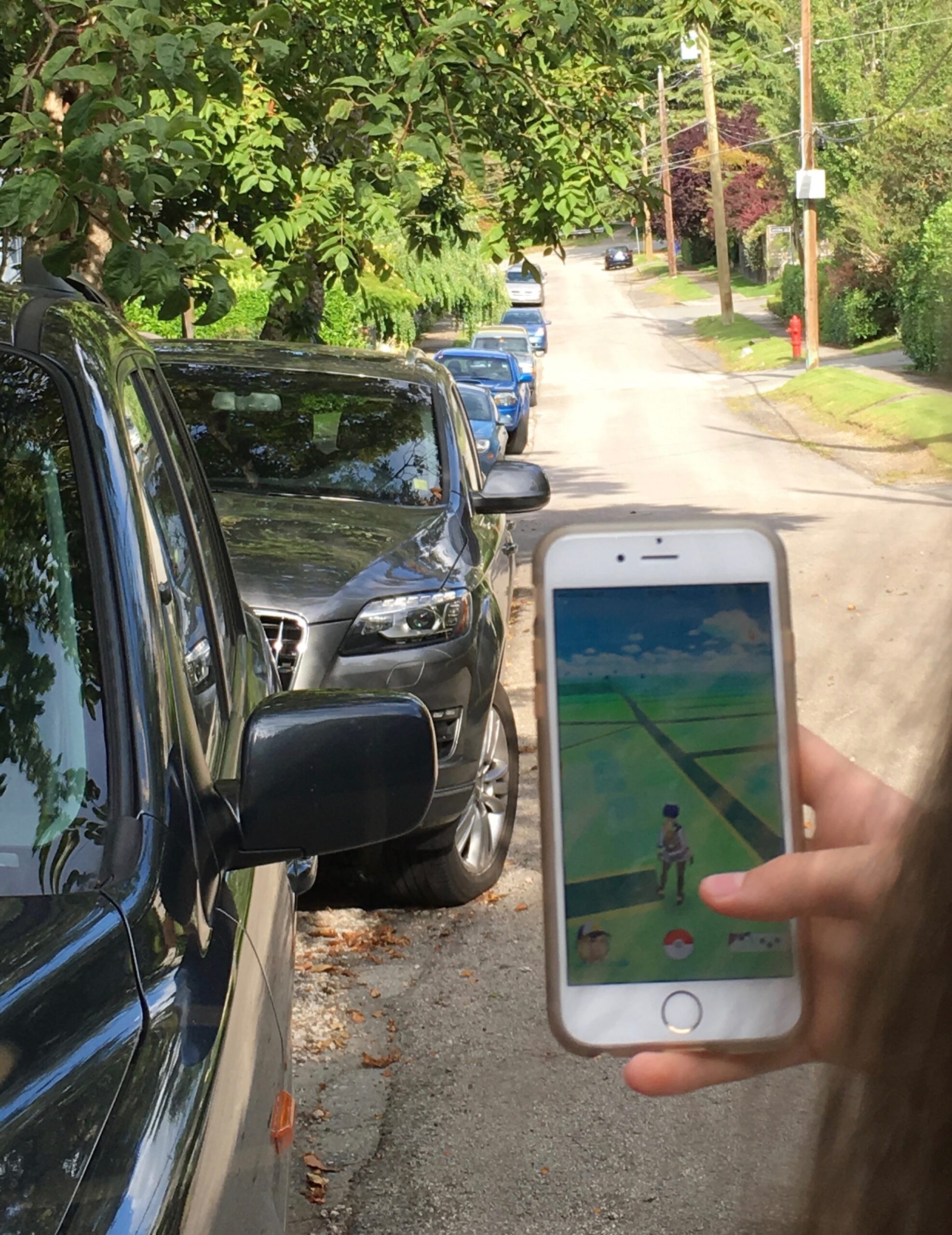 Pokemon Go and pedestrians