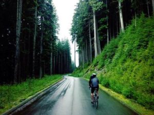 Bike to Work Week Ends in Tragedy