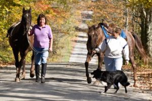 Share Walking Trails with Pets