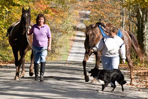 Share the walking trails to avoid personal injury - Warnett Hallen