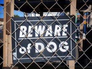 Do “Beware of Dog” Signs Legally Protect Dog Owners from Lawsuits?