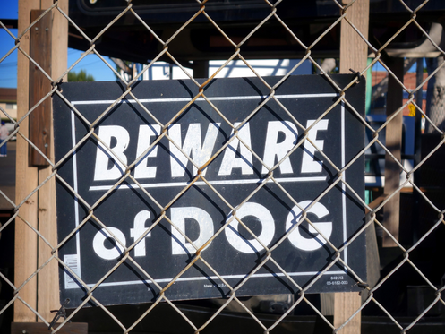 Spanish Caution Beware of Dog Sign Precaucion Cuidado Con El Perro dog will  bite